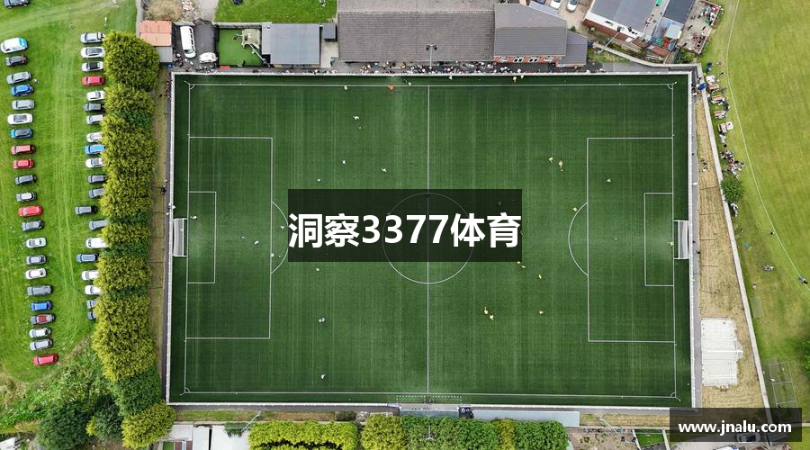 洞察3377体育